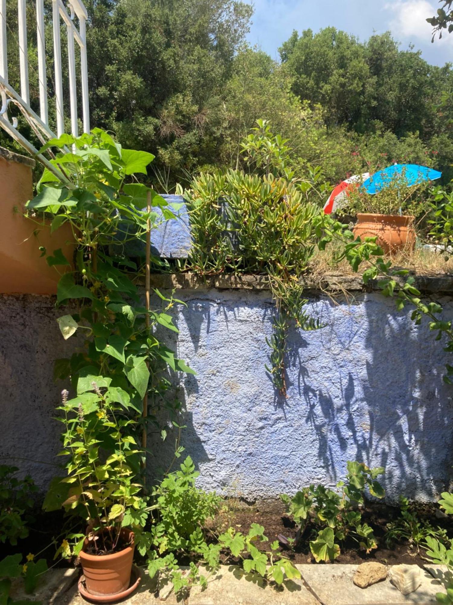 Kokkini Peach House *