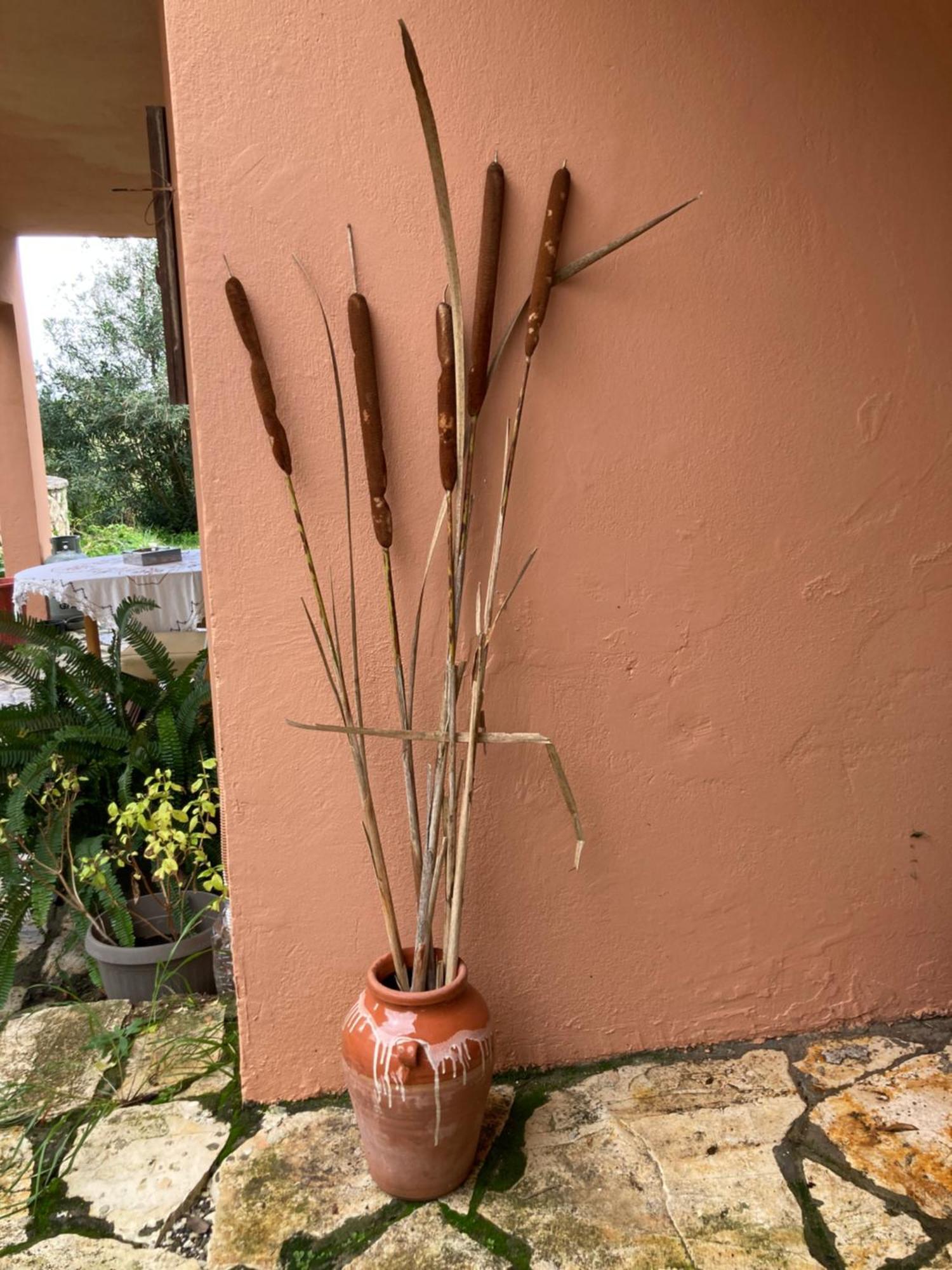 Kokkini Peach House